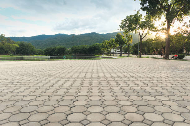 Best Driveway Paving Near Me  in Montour Falls, NY