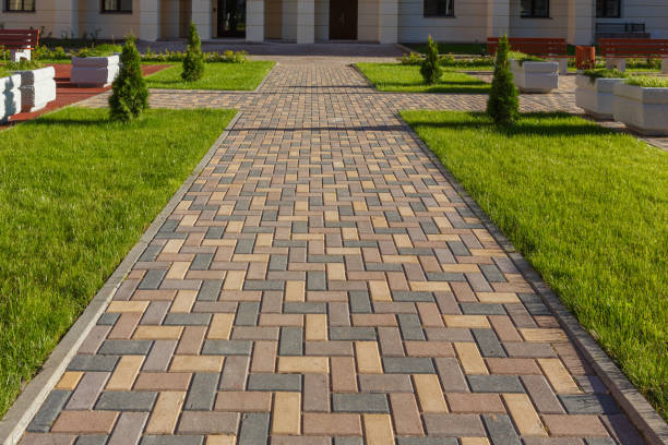 Best Custom Driveway Pavers  in Montour Falls, NY